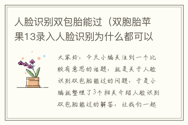 人脸识别双包胎能过（双胞胎苹果13录入人脸识别为什么都可以识别）