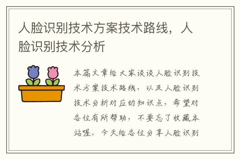 人脸识别技术方案技术路线，人脸识别技术分析