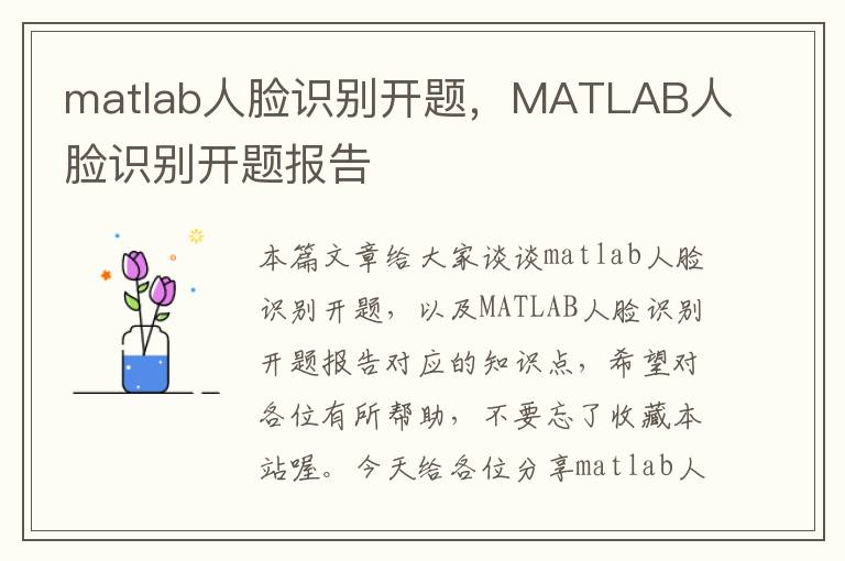 matlab人脸识别开题，MATLAB人脸识别开题报告