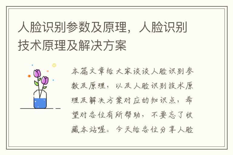 人脸识别参数及原理，人脸识别技术原理及解决方案