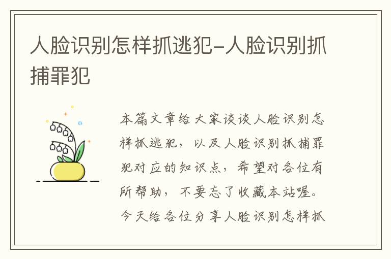 人脸识别怎样抓逃犯-人脸识别抓捕罪犯