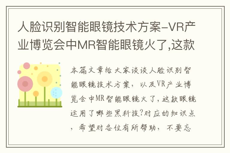 人脸识别智能眼镜技术方案-VR产业博览会中MR智能眼镜火了,这款眼镜运用了哪些黑科技?