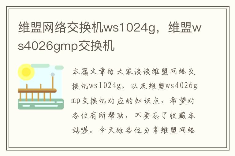 维盟网络交换机ws1024g，维盟ws4026gmp交换机