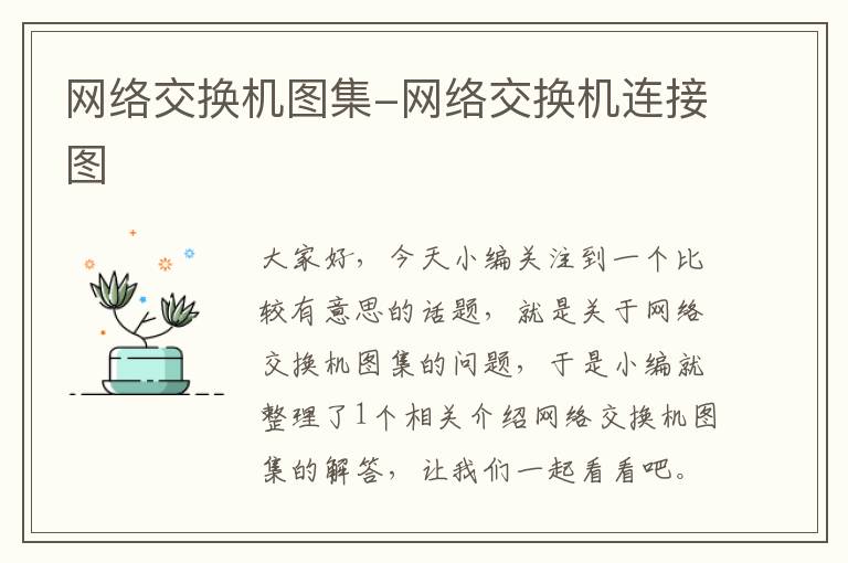 网络交换机图集-网络交换机连接图