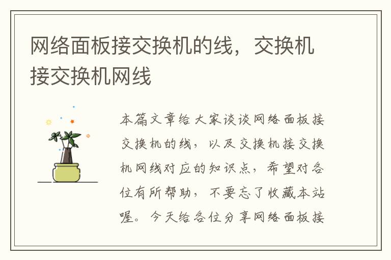 网络面板接交换机的线，交换机接交换机网线