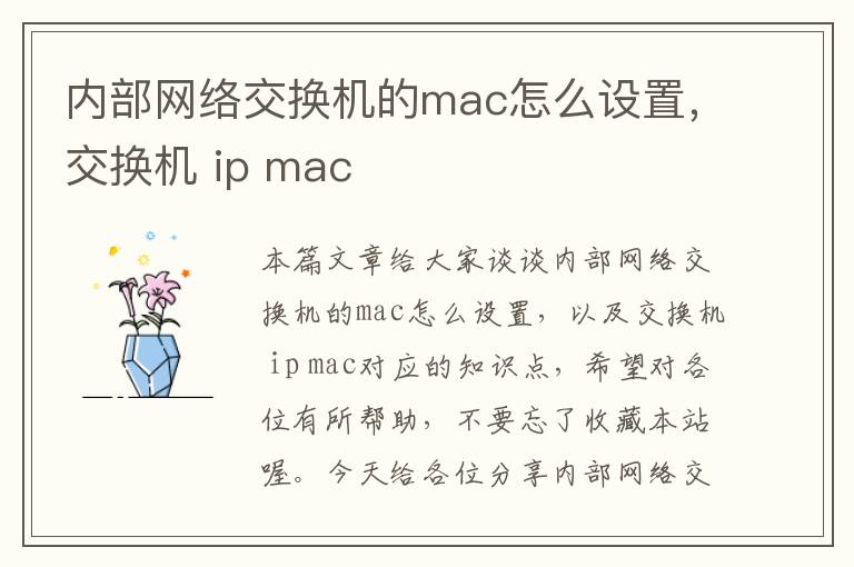 内部网络交换机的mac怎么设置，交换机 ip mac