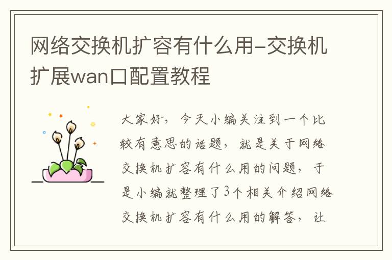 网络交换机扩容有什么用-交换机扩展wan口配置教程