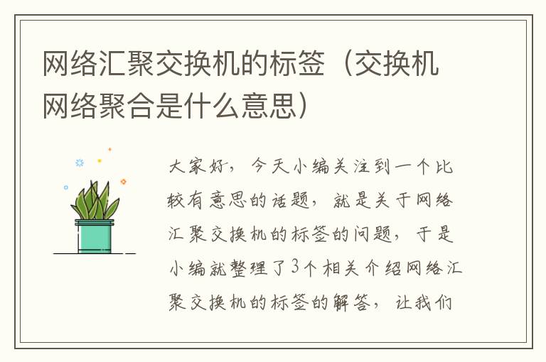 网络汇聚交换机的标签（交换机网络聚合是什么意思）