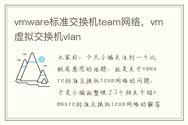 vmware标准交换机team网络，vm虚拟交换机vlan