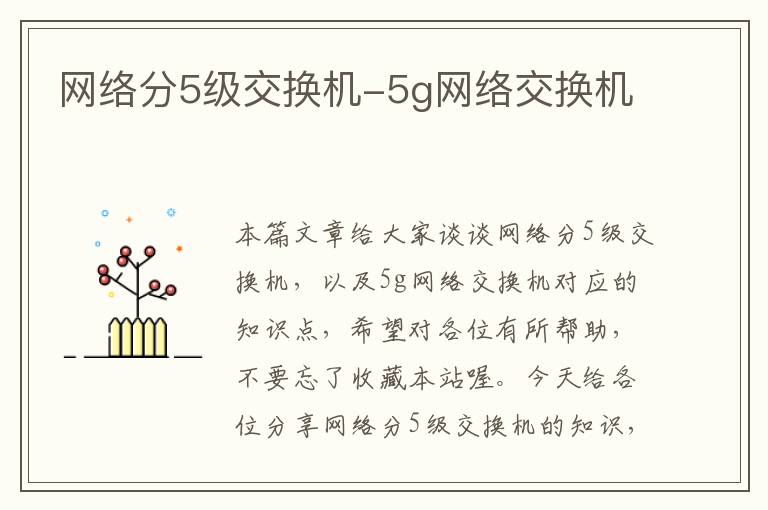 网络分5级交换机-5g网络交换机