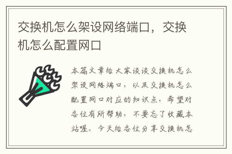 交换机怎么架设网络端口，交换机怎么配置网口