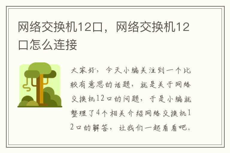 网络交换机12口，网络交换机12口怎么连接