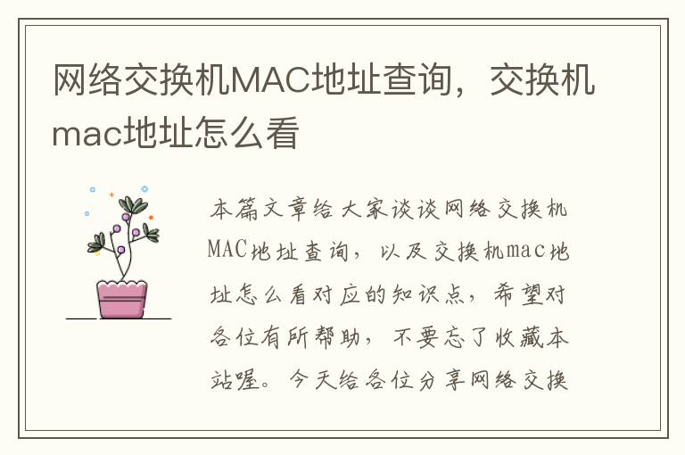 网络交换机MAC地址查询，交换机mac地址怎么看