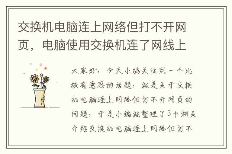 交换机电脑连上网络但打不开网页，电脑使用交换机连了网线上不了网