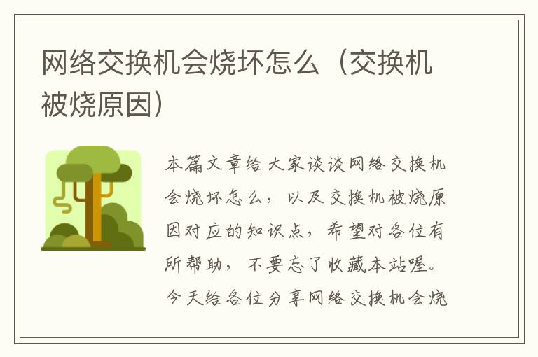 网络交换机会烧坏怎么（交换机被烧原因）