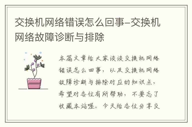 交换机网络错误怎么回事-交换机网络故障诊断与排除