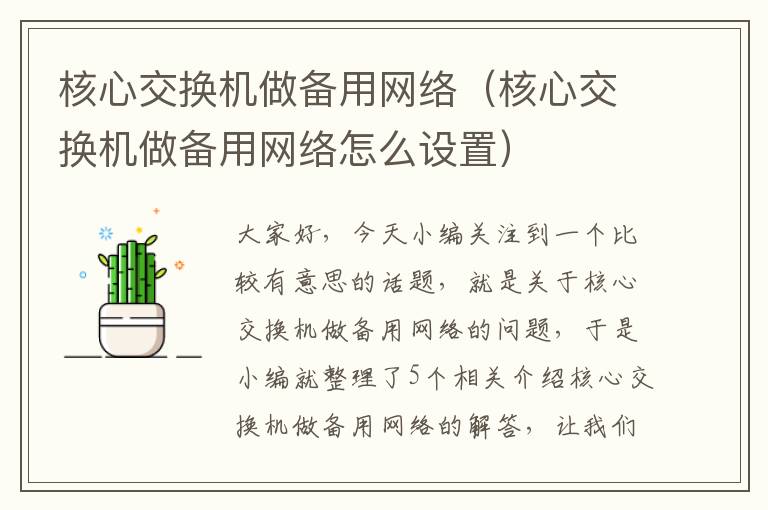 核心交换机做备用网络（核心交换机做备用网络怎么设置）