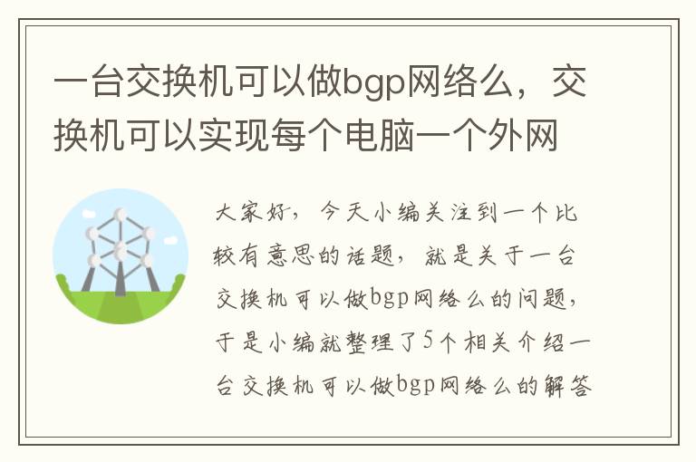 一台交换机可以做bgp网络么，交换机可以实现每个电脑一个外网ip吗