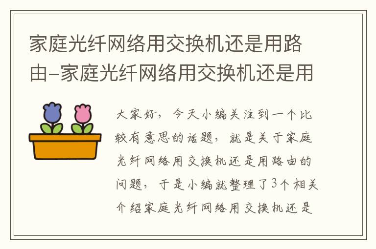 家庭光纤网络用交换机还是用路由-家庭光纤网络用交换机还是用路由器好