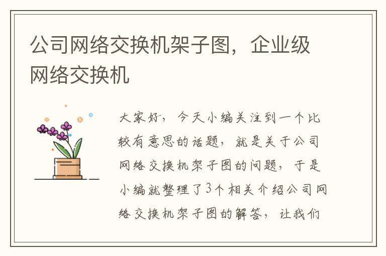 公司网络交换机架子图，企业级网络交换机