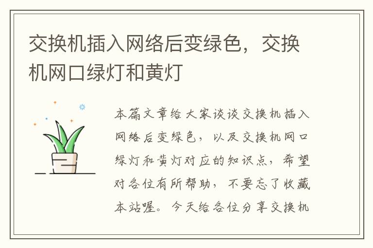 交换机插入网络后变绿色，交换机网口绿灯和黄灯