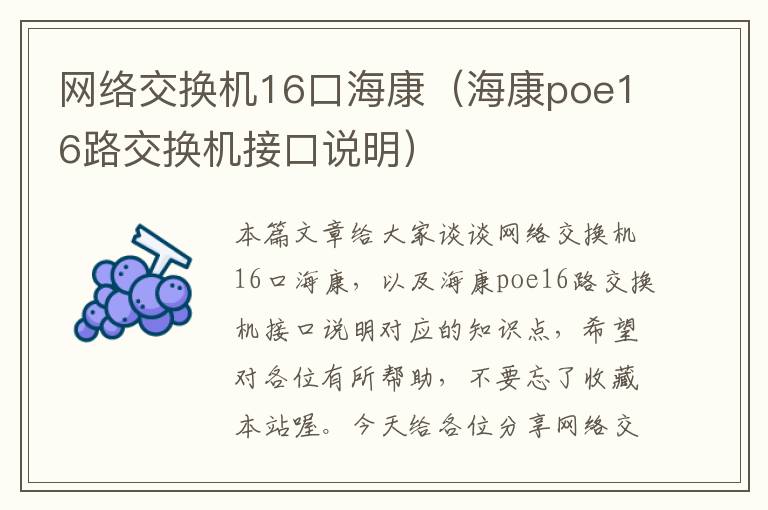 网络交换机16口海康（海康poe16路交换机接口说明）