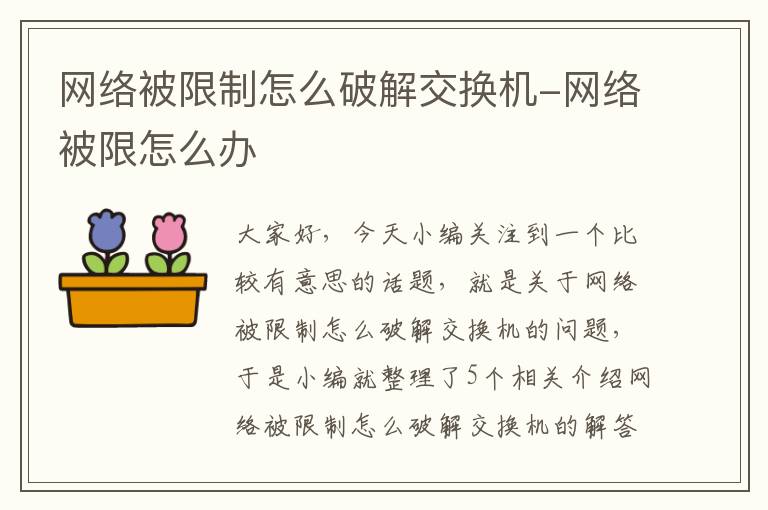 网络被限制怎么破解交换机-网络被限怎么办