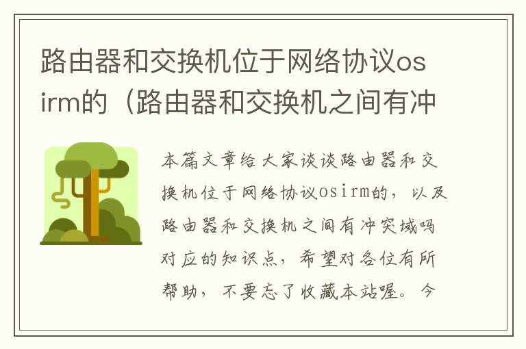 路由器和交换机位于网络协议osirm的（路由器和交换机之间有冲突域吗）