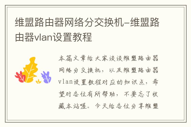 维盟路由器网络分交换机-维盟路由器vlan设置教程