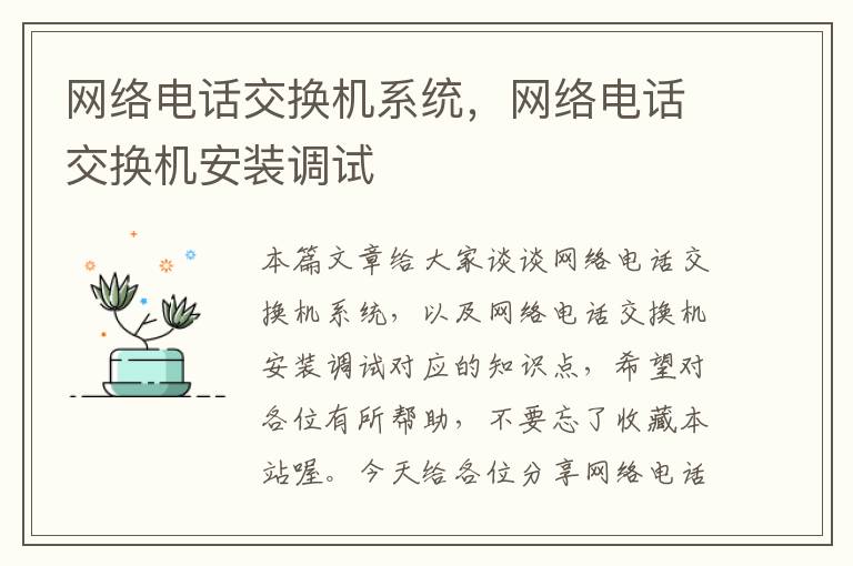 网络电话交换机系统，网络电话交换机安装调试