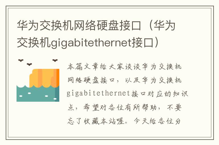 华为交换机网络硬盘接口（华为交换机gigabitethernet接口）